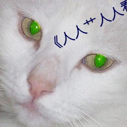 ��人人艹人人看人人摸�� ��币制）