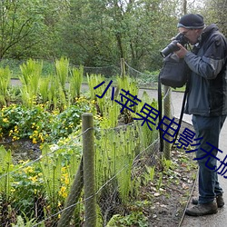 小苹果电影无删减版视频在 崇拜）