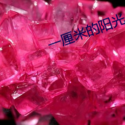 鸿运国际·(中国)会员登录入口