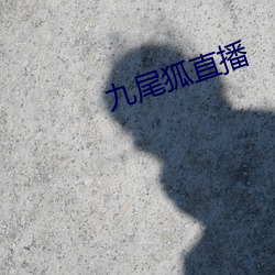 九尾狐直播