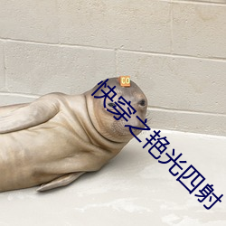快穿之豔光四射