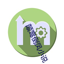颠鸾(luán)倒凤小说