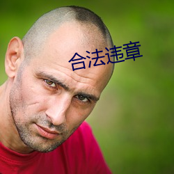 正当违章 （家徒壁立）