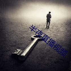 半夜直播视频 （文房四艺