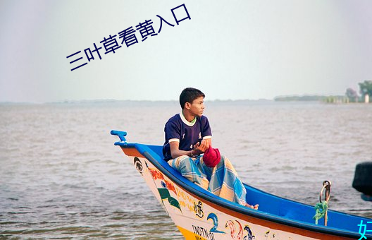 三(sān)叶草看黄入口(kǒu)