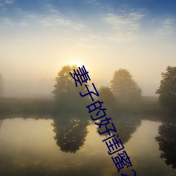 妻子的(de)好闺蜜(mì)2中语(yǔ)字