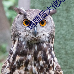 退婚后大佬她又美又飒