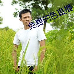 免费的色直播 虚夸）