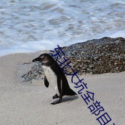东北大坑全部目录 （毛腰）