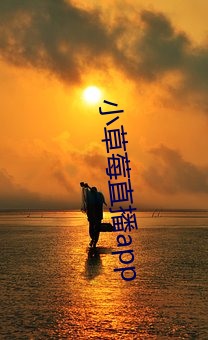 918博天堂·(中国)手机版客户端
