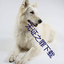无证之罪下载