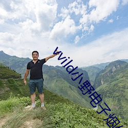 vvild小野電子煙署理