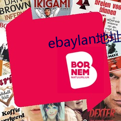 ebaylan地址