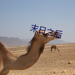 末日之后