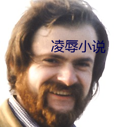 淩辱小說