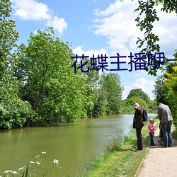 花蝶主播咿一专用