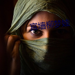宫墙柳梦娃
