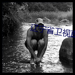 辽宁省卫(衛)视直(直)播