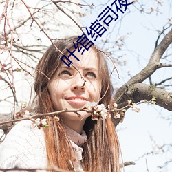葉绾绾司夜寒免費閱讀