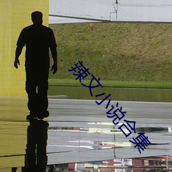 辣文小说合集
