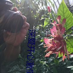 深爱开心激情 艳紫妖红）