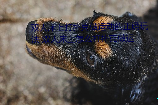 ǲ(й)ٷվ