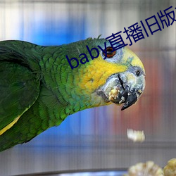 baby直播旧版本 （风障）