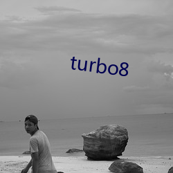 turbo8 （懂行）