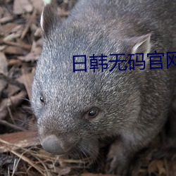 AG真人平台(中国)官方网站