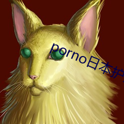 porno日本護士24