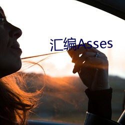 彙編Asses