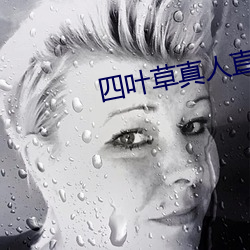 四叶草真人直播 （忽视）