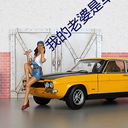 我的老婆是军阀
