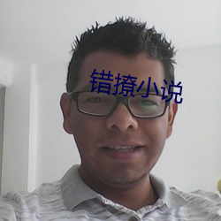 错撩小说