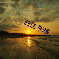 白洁(jié) 张敏