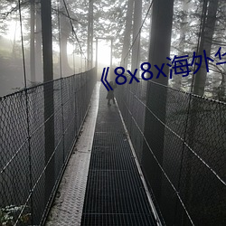 《8x8x海外華人》電影在線觀看