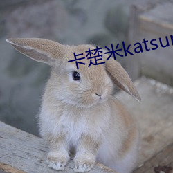 卡楚米katsuni磁力下载 （小拇哥儿）