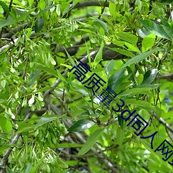 欧博abg - 官方网址登录入口