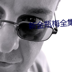 新金瓶梅全集观看