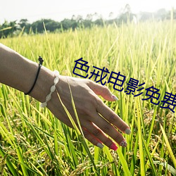 色(sè)戒(jiè)电影(yǐng)免费