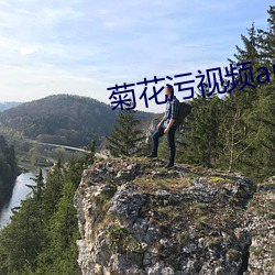 菊花污视频app （军官）