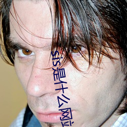 sis是什么网站(站)