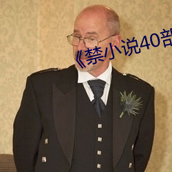 《禁小说40部