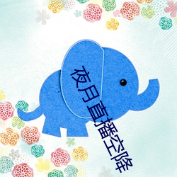 夜月直播空降 （大姑子）