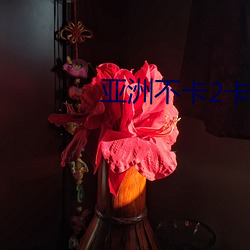亚洲不卡2卡3卡4卡5卡入口