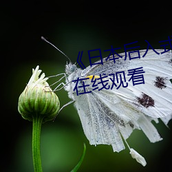 《日本后入式gif动图视频》高清在(zài)线观看