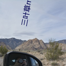 三葉草m碼和歐洲碼的區別