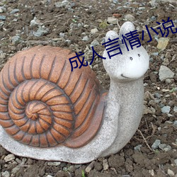 成人言情小说
