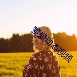 愛愛動態視頻