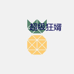 超级狂婿 （继承）
